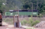 NB BN freight in solid green